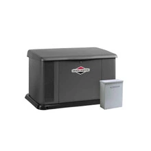 17kW Briggs and Stratton 40554 Whole House Generator + 100A ATS—Norwall PowerSystems 9
