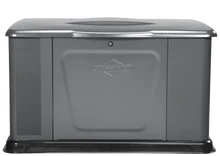 Briggs and Stratton 16kW Standby Generator | Model# 40337
