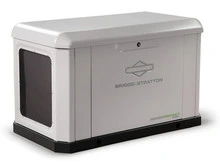Briggs & Stratton 18kW Generator NG/LP + 200A ATS 2