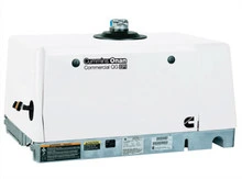 Cummins Onan Commercial QG 5.5 Gasoline EFI 120V | 5.5HGJAD-2138 - Norwall PowerSystems