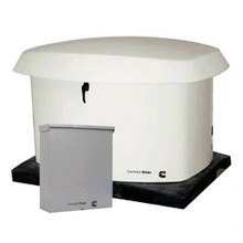 Cummins Onan RS13A NG LP Standby Generator Cold Weather Equipped Package with 200 Amp Automatic SE Rated Transfer Switch RS13 C250 - Norwall PowerSystems